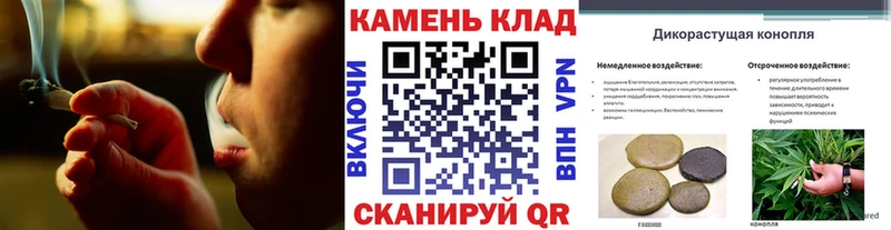 кракен сайт  Заозёрск  Гашиш Cannabis 