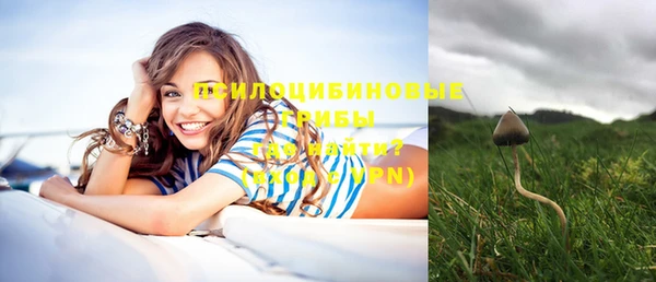 прущий лед Вязники