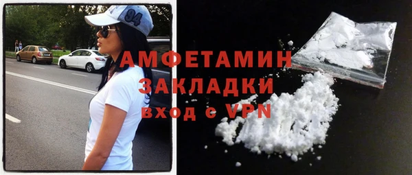 гашик Вяземский