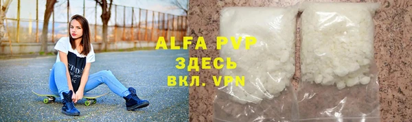 гашик Вяземский