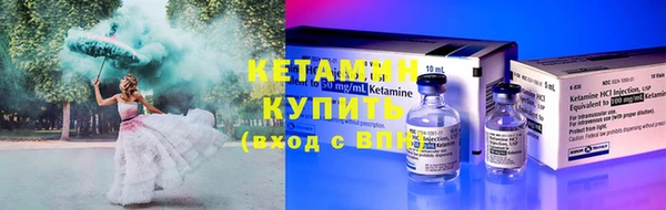гашик Вяземский