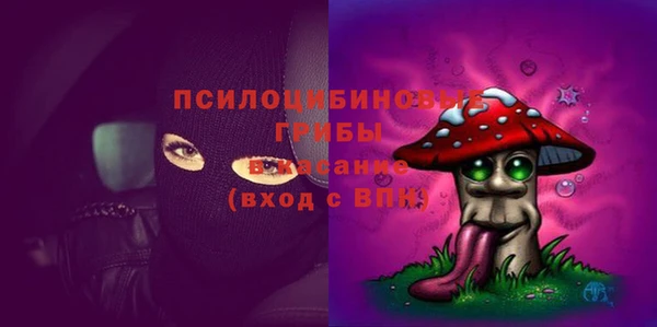 прущий лед Вязники