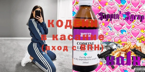 гашик Вяземский