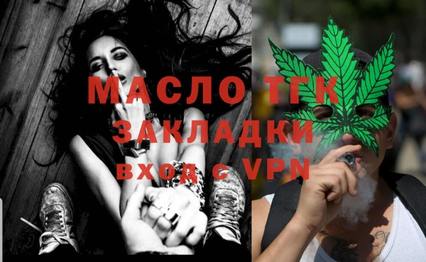 гашик Вяземский