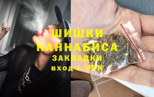 гашик Вяземский