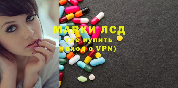 гашик Вяземский