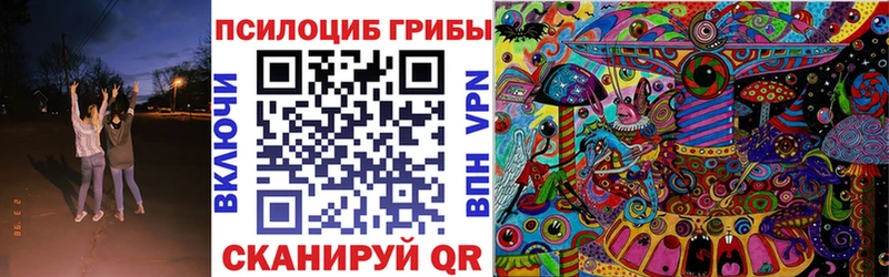 Псилоцибиновые грибы прущие грибы  где купить   Заозёрск 